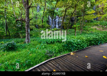 Underwood site touristique à l'Anse des cascades, Sainte Rose, l'île de la réunion Banque D'Images