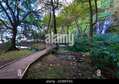 Site touristique sous-bois à Anse des Cascades près de la ville de Sainte Rose, Île de la Réunion Banque D'Images