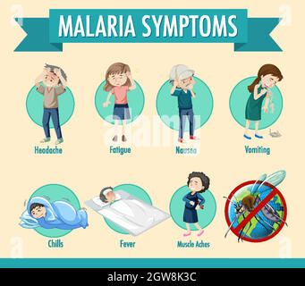 Infographie sur le cycle de transmission du paludisme et les symptômes Illustration de Vecteur