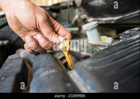 Un mécanicien de bord retire une jauge pour vérifier le niveau d'huile dans un moteur de voiture. Banque D'Images