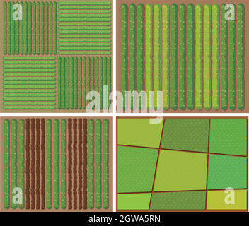 Modèle de récolte depuis la vue de dessus Illustration de Vecteur