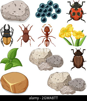 Différents types d'insectes avec des éléments de la nature Illustration de Vecteur