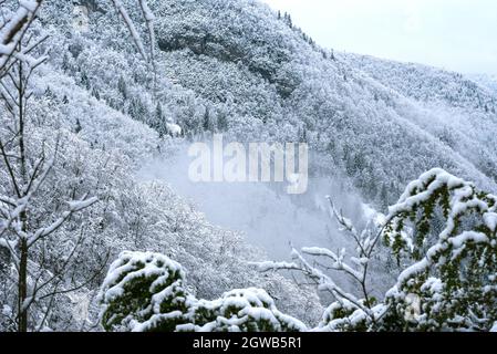 Un nuage coincé dans une forêt enneigée dans les montagnes du Jura, en France. Paysage d'hiver. Banque D'Images