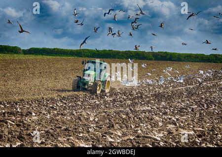 Tracteurs vintage, anciens tracteurs, nouveaux tracteurs, labour des champs Banque D'Images