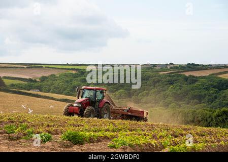 Tracteurs vintage, anciens tracteurs, nouveaux tracteurs, labour des champs, haverst time Banque D'Images