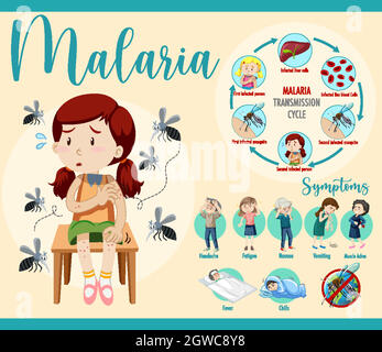 Infographie sur le cycle de transmission du paludisme et les symptômes Illustration de Vecteur
