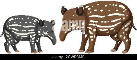 Deux bébé tapir animal sauvage sur fond blanc Illustration de Vecteur