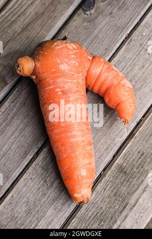 Une carotte wonky, précédemment pas trouvé dans les supermarchés, maintenant tous une partie de l'amusement. Il y a des revendications que la carotte orange a été créée au 17ème siècle Banque D'Images