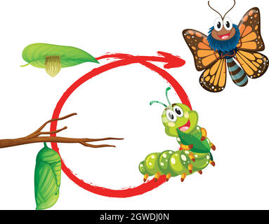 Cycle de vie du papillon monarque Illustration de Vecteur
