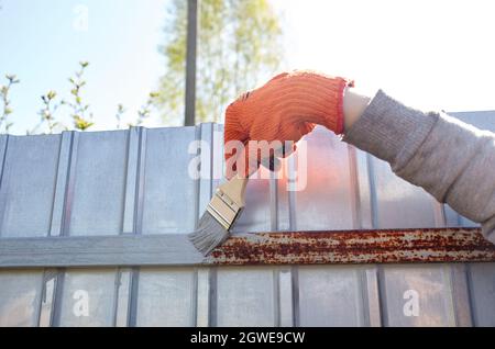 Peinture de la clôture. Femme peint à la main la clôture en acier avec un pinceau Banque D'Images