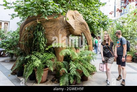 Elephant dans le Cafe Petersham Nurseries Covent Garden Londres Royaume-Uni Banque D'Images