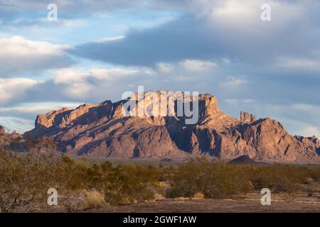 Les montagnes de Kofa au coucher du soleil dans la réserve naturelle nationale de Kofa dans le désert de Sonoran près de Quartzsite, Arizona. Banque D'Images