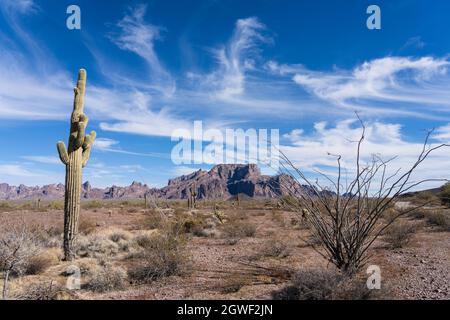 Saguaro Cactus, ocotillo et les montagnes Kofa dans la réserve naturelle nationale de Kofa, près de Quartzsite, Arizona. Banque D'Images