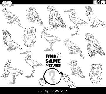 trouvez deux mêmes oiseaux jeu de coloriage page livre Illustration de Vecteur