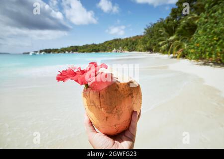 Main tenant la boisson fraîche de noix de coco contre la plage de sable blanc idyllique et la mer turquoise. Anse Lazio, Seychelles. Banque D'Images