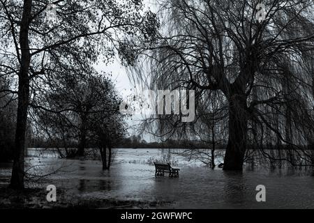 Un banc vide, coincé dans l'eau de la rivière Great Ouse qui a éclaté ses berges lors des inondations Banque D'Images