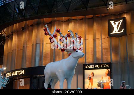 Louis Vuitton Store à la Orchard Road de Singapour Banque D'Images