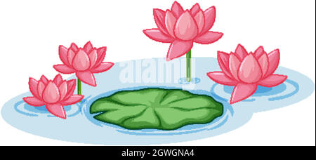 Fleurs de lotus rose avec une feuille verte dans l'étang Illustration de Vecteur