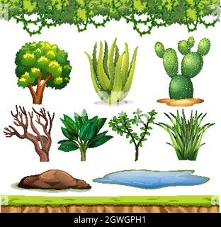 Ensemble de petites plantes sans fleurs sur fond blanc Illustration de Vecteur