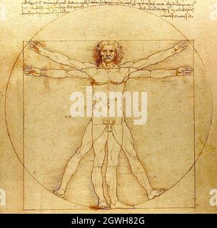 Le dessin du Vitruvian Man 15ht Century de Leonardo Da Vinci Banque D'Images