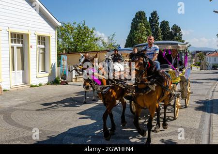 Une calèche avec deux chevaux transportant des touristes dans les îles des Princes près d’Istanbul, en Turquie. Banque D'Images