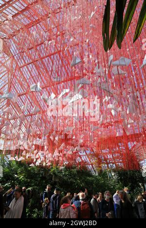 One Thousand Springs, une construction complexe de 5000 haikus suspendu dans une toile de fils rouges, par l'artiste japonais Chiharu Shiota, dans la Temperate House, la pièce maîtresse du Festival du Japon, à Kew Gardens, Londres, Royaume-Uni Banque D'Images