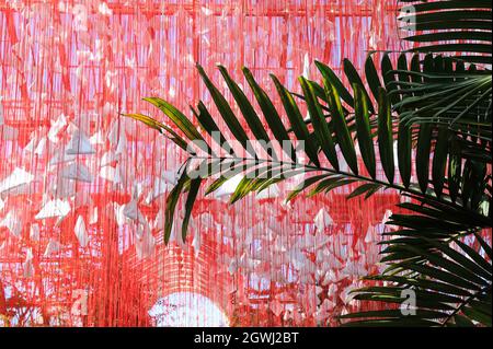 One Thousand Springs, une construction complexe de 5000 haikus suspendu dans une toile de fils rouges, par l'artiste japonais Chiharu Shiota, dans la Temperate House, la pièce maîtresse du Festival du Japon, à Kew Gardens, Londres, Royaume-Uni Banque D'Images