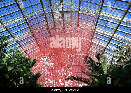 One Thousand Springs, une construction complexe de 5000 haikus suspendu dans une toile de fils rouges, par l'artiste japonais Chiharu Shiota, dans la Temperate House, la pièce maîtresse du Festival du Japon, à Kew Gardens, Londres, Royaume-Uni Banque D'Images