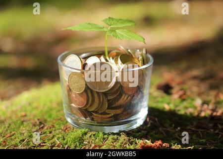 Gros plan de plante poussant à partir de pièces de monnaie.Le monde vert.Croissance économique.Environnement mondial écologique. Banque D'Images