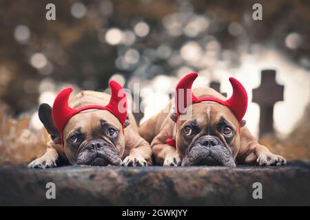 Paire de chiens de Bulldog français d'Halloween portant des cornes rouges diable vêtu de bandeaux de tête de costume devant le cimetière dans un arrière-plan flou Banque D'Images