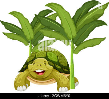 Personnage de dessin animé de tortue avec arbre de banane isolé Illustration de Vecteur