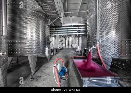 Cave de vinification produisant du vin, Grape ju en réservoir. Cuves de fermentation de vin. Processus de fermentation du vin raisins rouges dans le réservoir de fermentation. Verser du vin dans un réservoir. Banque D'Images