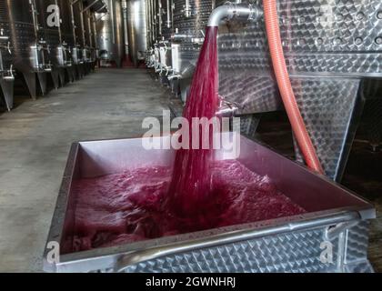 Cave de vinification produisant du vin, Grape ju en réservoir. Cuves de fermentation de vin. Processus de fermentation du vin raisins rouges dans le réservoir de fermentation. Verser du vin dans un réservoir. Banque D'Images