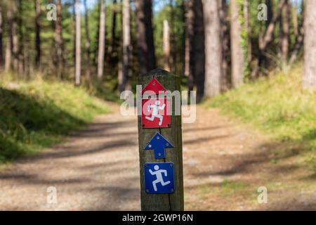 Forêt de Newborough, pays de Galles : panneau indiquant les indications pour les pistes de course à pied ou à pied à travers les bois, Anglesey. Banque D'Images