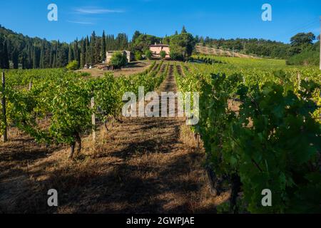 Paysages le long de la via Francigena, Toscane, Italie Banque D'Images