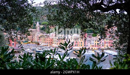 Vue sur le port de Portofino, avec ses bateaux et ses maisons aux couleurs pastel de la montagne, au milieu des arbres et des feuilles Banque D'Images