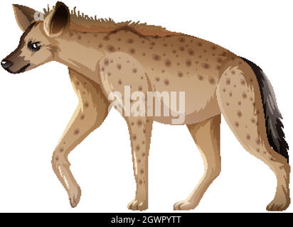 Hyena animal sur fond blanc Illustration de Vecteur