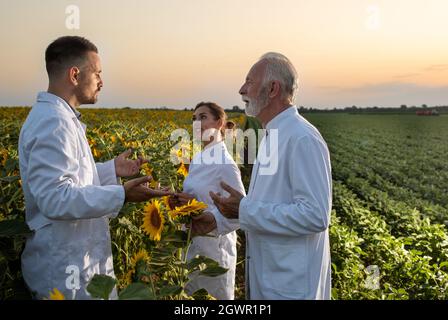 Des scientifiques âgés et jeunes femmes se tenant sur le terrain à l'écoute du coucher du soleil. Jeune biologiste masculin portant un manteau blanc expliquant. Banque D'Images