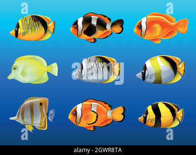 Différentes sortes de poissons sous l'océan Illustration de Vecteur