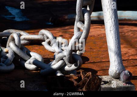 Chaînes d'ancrage sur grue flottante, Wellington, Île du Nord, Nouvelle-Zélande Banque D'Images