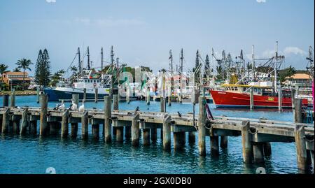 Bateaux de pêche au port de Mooloolaba dans la rivière Mooloolah, Sunshine Coast, Queensland, Australie Banque D'Images