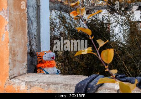 jouet oublié dans la fenêtre des ruines lors d'une soirée d'automne Banque D'Images