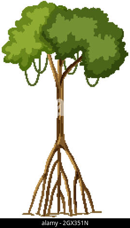 Arbre unique de la forêt tropicale avec de grandes racines isolées sur fond blanc Illustration de Vecteur