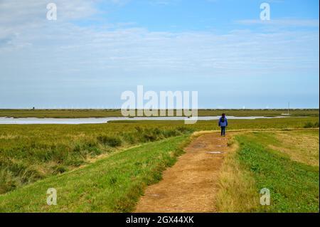 Une femme marchant sur le sentier de Blakeney Freshes avec des vues de loin sur la rivière Glaven et Race Bank Wind Farm à l'horizon. Norfolk, Angleterre. Banque D'Images