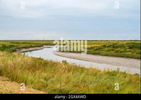 Une rivière presque sèche Glaven serpentant à travers le marais de la Réserve naturelle de Blakeney sur la côte de la mer du Nord, Norfolk, Angleterre. Banque D'Images