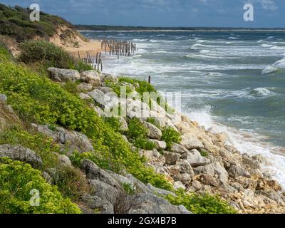L'cuisine, côte ouest de l'île d'Oléron, France, Banque D'Images