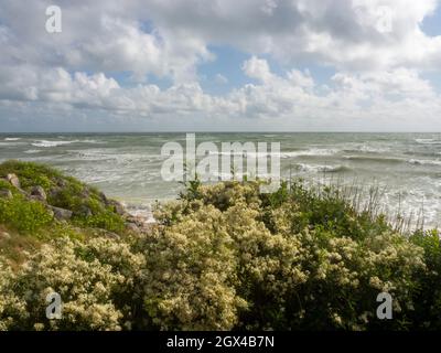 L'cuisine, côte ouest de l'île d'Oléron, France, Banque D'Images