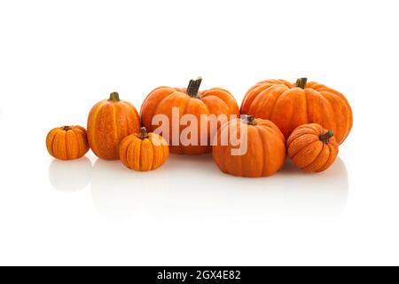 Tas de nombreux citrouilles isolées sur fond blanc, automne et Halloween concept Banque D'Images