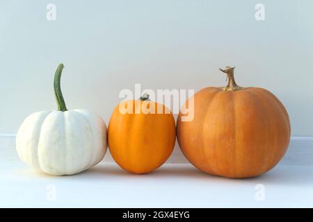 Citrouilles fruits différentes variétés. Trois citrouilles. Banque D'Images