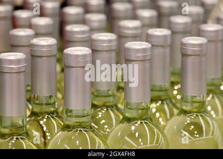 Bouteilles de vin blanc en rangée, mise au point sélective. Magasin de spiritueux, production de vin Banque D'Images